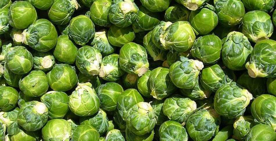 if you were superstitious, could you cook 13 sprouts when ordered to?